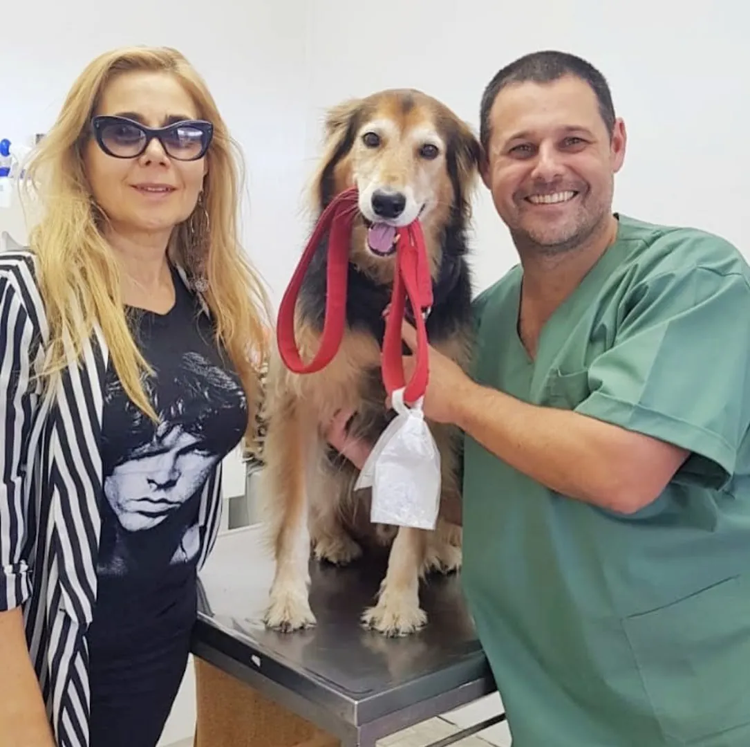Perro de pelo largo con su correa roja en la boca, sobre la camilla, junto a su dueña y el veterinario